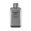 Bentley Momentum Intense