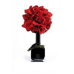 Herve Gambs Paris Diffuser 20 Red Orchids 20*40 см