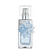 Banana Republic Wildbloom Waterlily