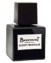 Brecourt Esprit Mondain