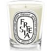 Diptyque Freesia Candle