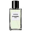 Chanel Gardenia