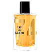 Iceberg Oud