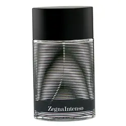 Ermenegildo Zegna Zegna Intenso