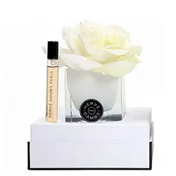 Herve Gambs Paris Белая роза-белый куб-Herbe intense т.в.10