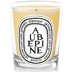 Diptyque Aubepine Candle