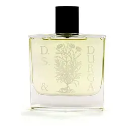 D.S. & Durga Osmanthus