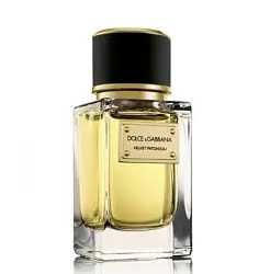 Dolce & Gabbana Velvet Patchouli