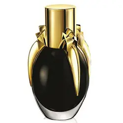 Lady Gaga Fame