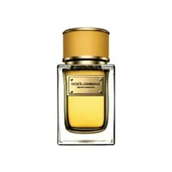 Dolce & Gabbana Velvet Ginestra