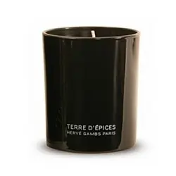 Herve Gambs Paris Terre D`Epices свеча