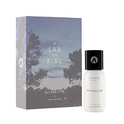 A Lab On Fire Hossegor