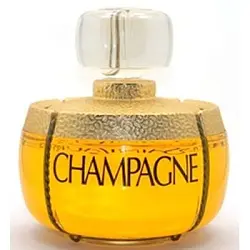 Yves Saint Laurent Champagne