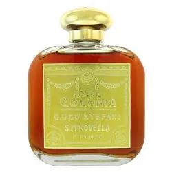 Santa Maria Novella Ambra